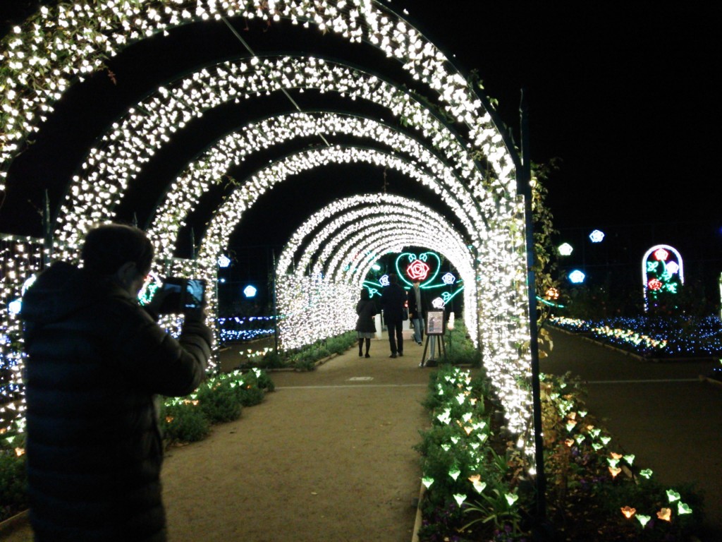 もうすっかりクリスマス気分☆