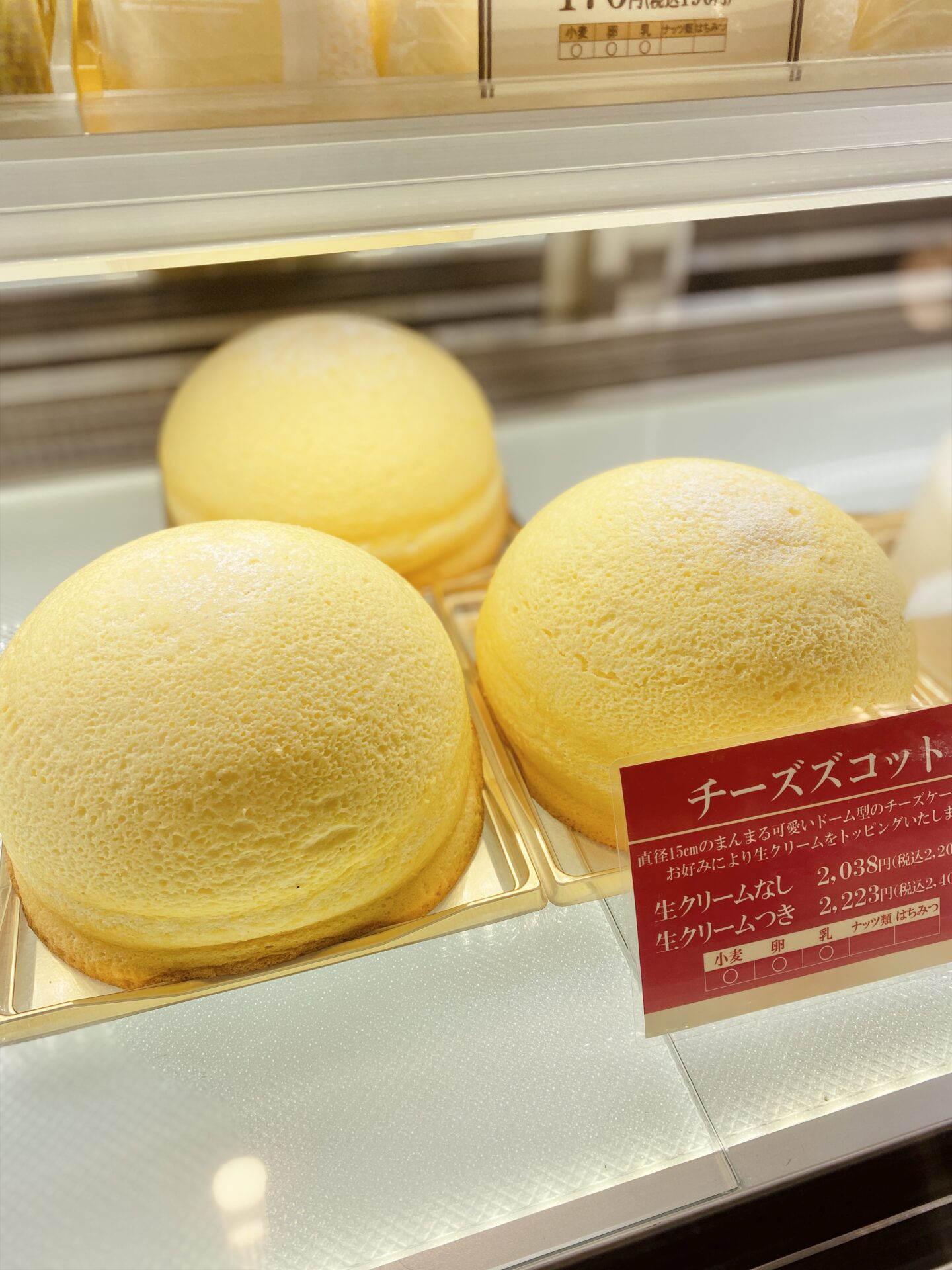 チーズズコット販売再開しました‼️